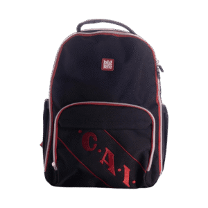 Mochila BigLife 16 Pulgadas Independiente