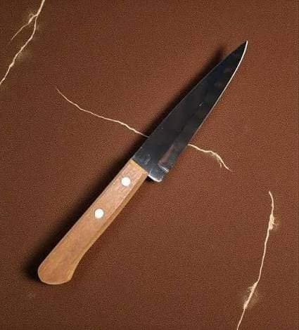 UNIVERSAL CUCHILLO 8,