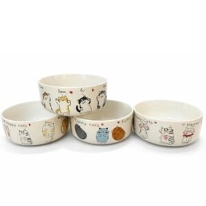 Bowl Diseno Gatos